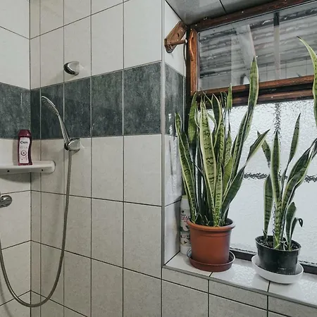 Apartament Ferencz Porta