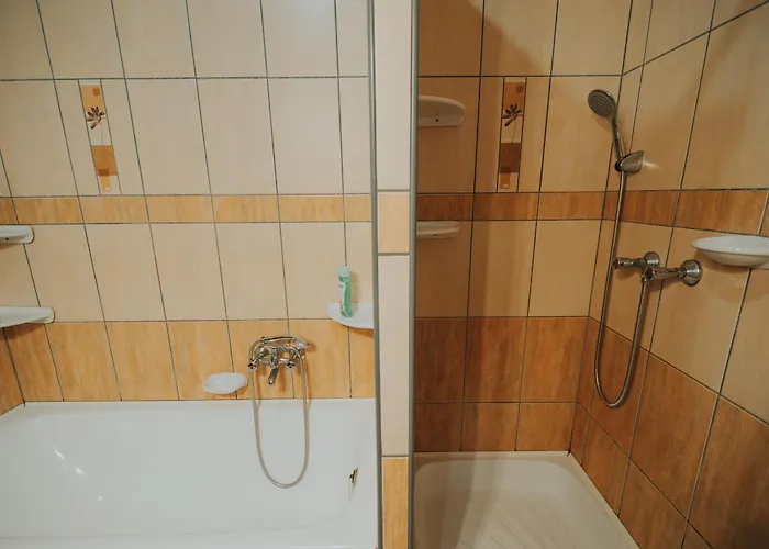شقة Ferencz Porta *