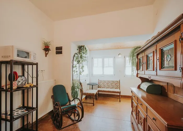 Apartment Ferencz Porta *