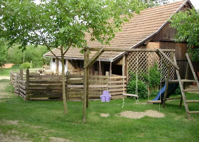 Ferencz Porta *