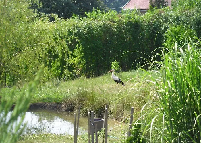 Ferencz Porta Appartement *